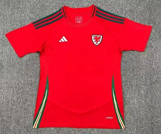 Wales 24-25 Home Shirt
