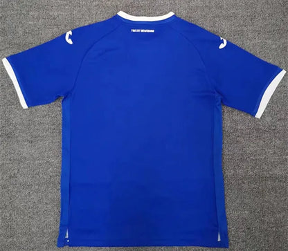 TSG 1899 Hoffenheim 22-23 Home Shirt