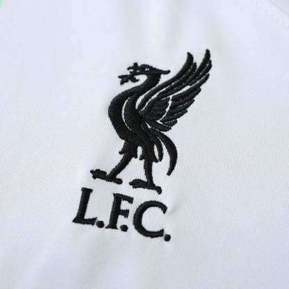 Liverpool FC 23-24 Away Shirt