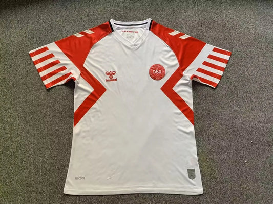 Denmark 23-24 Away Shirt