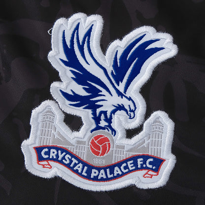 Crystal Palace 23-24 Third Shirt