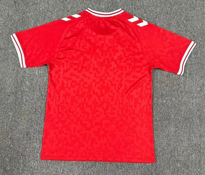 Denmark 24-25 Home Shirt
