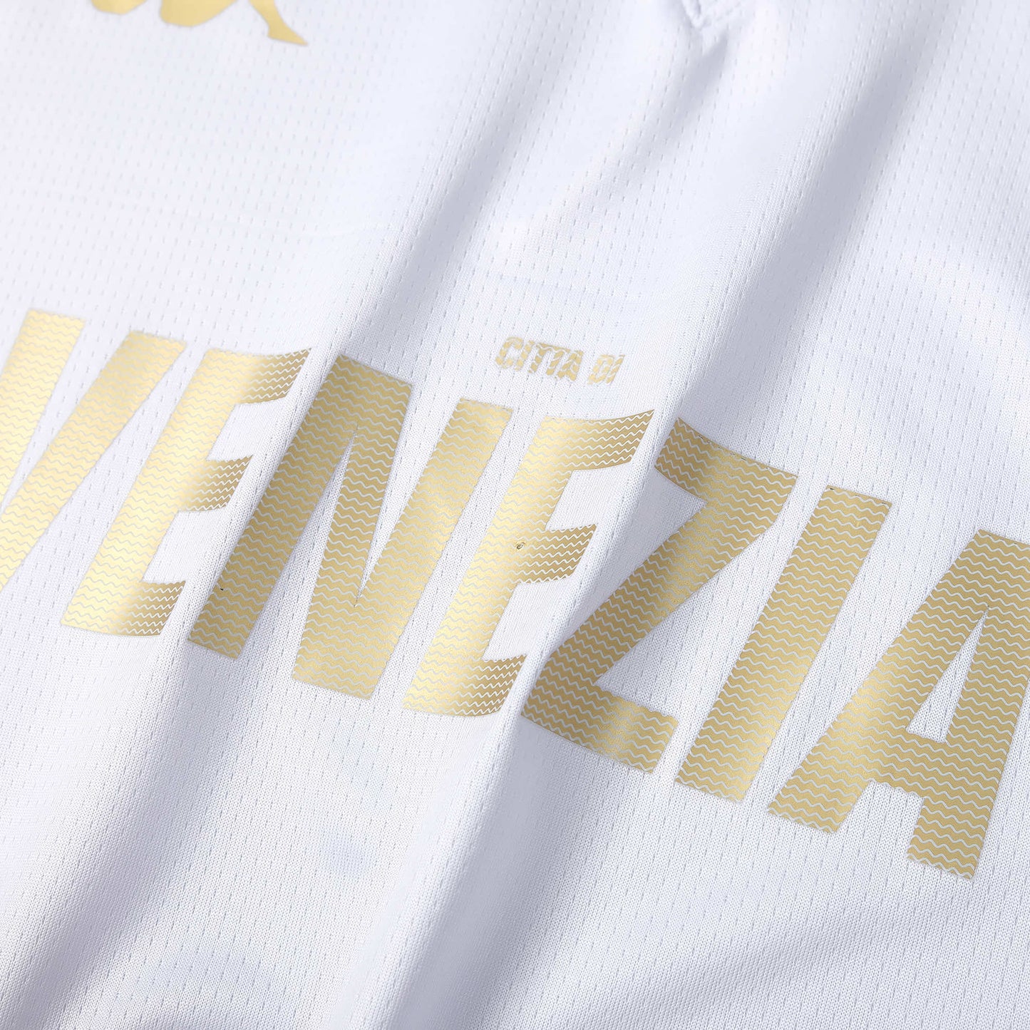Venezia 23-24 Away Shirt No Sponsor