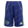 Ajax Away Shorts 25/26