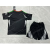 2024/2025 Arsenal Away Football Shirt 1:1 Thai Quality Kids Size - Detail 1