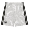 Arsenal Goalkeeper Shorts 26/27 – Grey