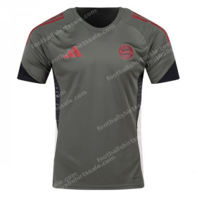 Bayern Munich Pre Match Training Top - European