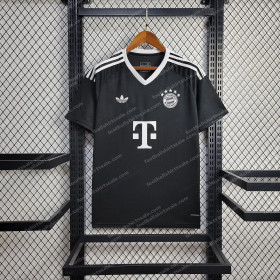 2024/2025 Bayern Munich Training Wear Football Jersey