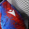 2024/2025 Crystal Palace Home Football Shirt 1:1 Thai Quality – Player Version - Detail 5