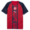 Czechia Pre Match Training Top 2026