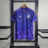2022 FIFA World Cup Argentina National Team Away Jersey