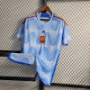 2022 FIFA World Cup Spain Away Soccer Shirt - Detail 2