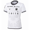 Hokkaido Consadole Sapporo Third Shirt 2025
