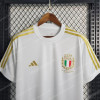 2023/2024 Italy 125th Commemorative Edition Soccer Shirt - Detail 3