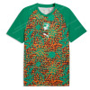 Ivory Coast Pre Match Training Top