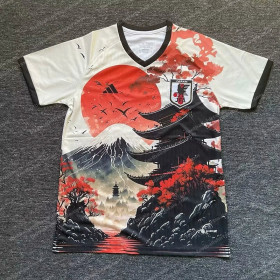 2024 Japan Special Edition Hongyan Tower Football Jersey