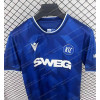 2025/2026 Karlsruher SC Home Football Shirt - Detail 2