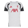 Liverpool Pre-Match Training Top – Dash Grey