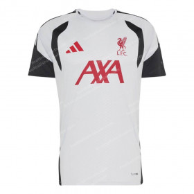 Liverpool Pre-Match Training Top - Dash Grey