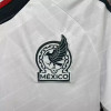 2026 Mexico Away World Cup Football Jersey - Detail 2
