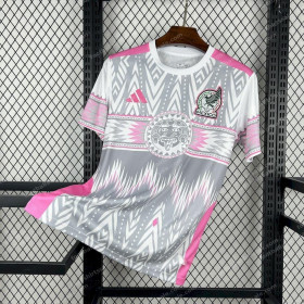 2025/2026 Mexico Concept Special Football Jersey