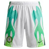 Nigeria Away Shorts 2026