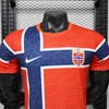 2026  Norway World Cup Home Player Version Jersey - Detail 2