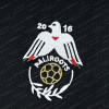 2025/2026 Palestine Paliroots Black Jersey - Detail 5