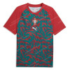 Portugal Pre Match Shirt