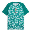 Portugal Pre Match Training Top – Green
