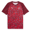 Switzerland Pre Match Training Top 2026