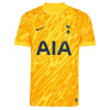 Tottenham Hotspur Goalkeeper Shirt 24/25