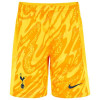 Tottenham Hotspur Goalkeeper Shorts 24/25