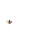 2026 Venezuela Away Shirt World Cup - Detail 2