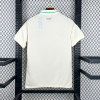 2026 Wales Away World Cup Football Jersey - Detail 1