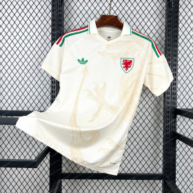 2026 Wales Away World Cup Football Jersey