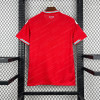 2026 Wales Home World Cup Football Jersey - Detail 1
