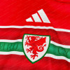 2026 Wales Home World Cup Football Jersey - Detail 2
