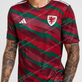 Wales Pre Match Training Top