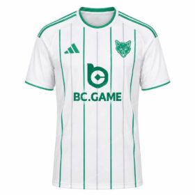 Leicester City Third Shirt