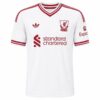 Liverpool Away Shirt