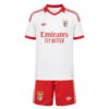 Sl Benfica Away Kids Kit